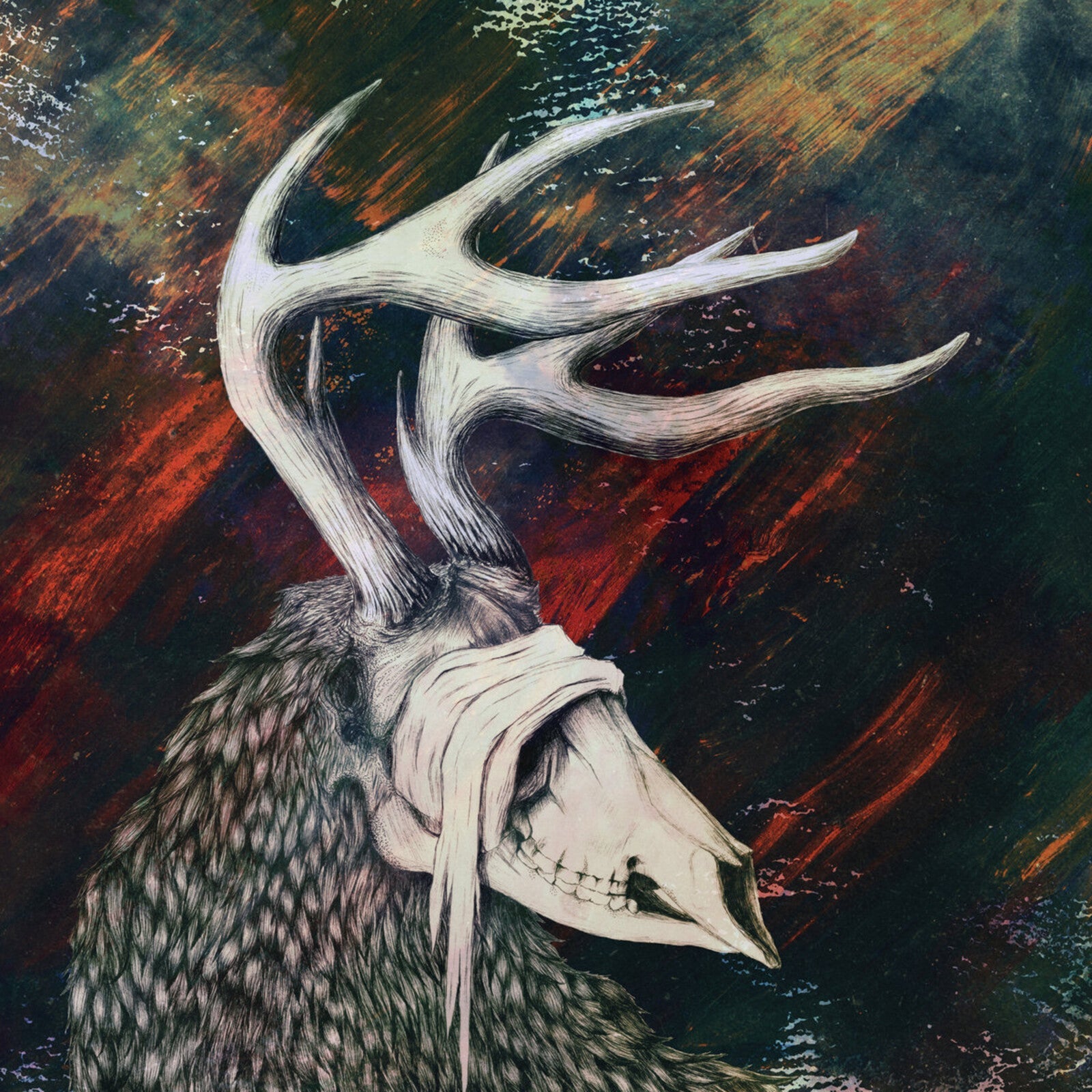 Deer skull with antlers against a dark, textured red and black background.