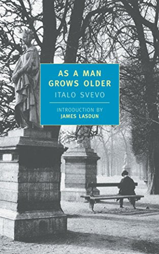 Book cover with statue, park scene, and blue title panel.