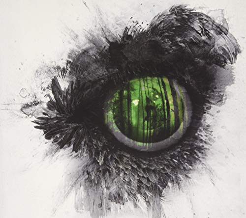 Close-up of a bird’s eye with a forest reflected in the pupil.