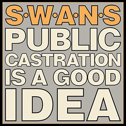 Album cover with the text SWANS PUBLIC CASTRATION IS A GOOD IDEA on grey background.