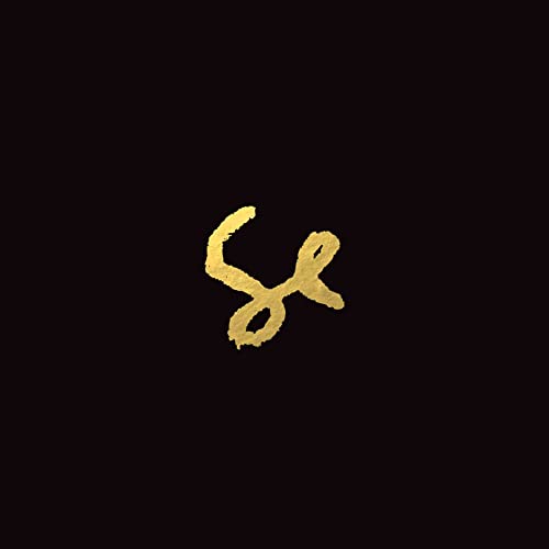 Black background with a gold, abstract “Se” logo for Sylvan Esso.