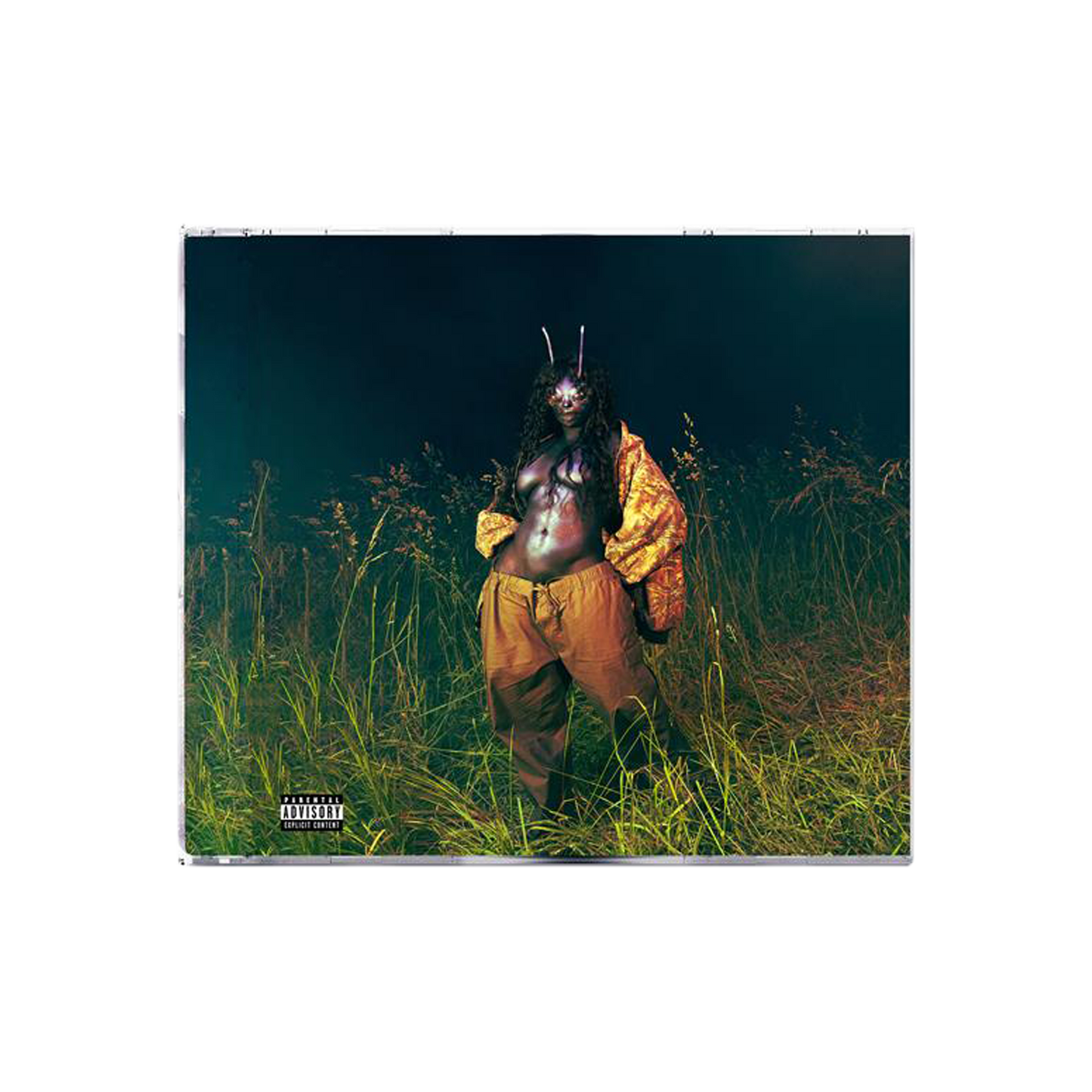 SZA’s “SOS” album cover: a person in a field with insect-like antennae.