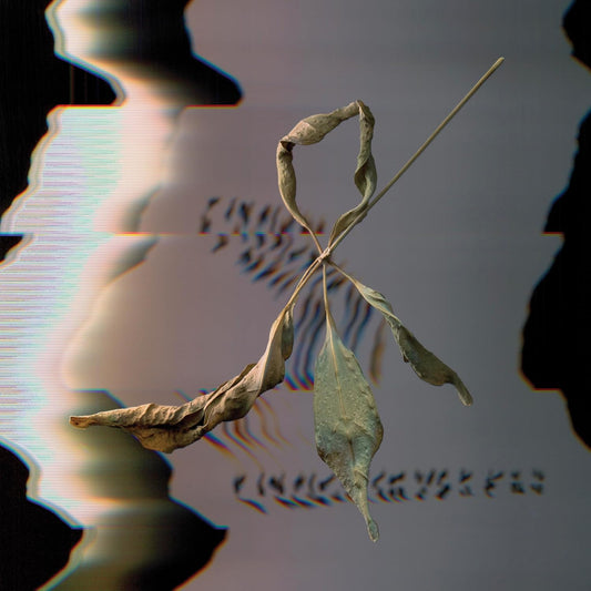 A dried, withered plant stem with leaves against a background with digital glitch distortion.