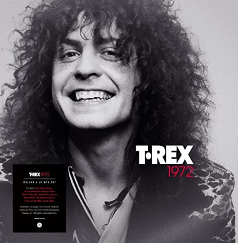 Black and white portrait of Marc Bolan, T. Rex album cover.