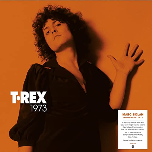 T. Rex album cover: Marc Bolan portrait in orange, 1973 vinyl record.