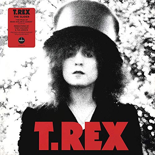 T. Rex album cover featuring Marc Bolan in black and white.