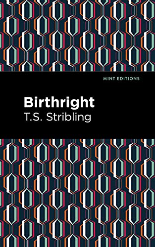Book cover for "Birthright" by T.S. Stribling with geometric pattern.