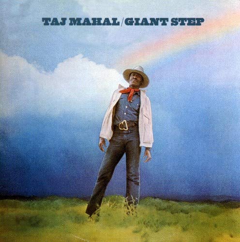 Taj Mahal album cover: man in a hat standing in a field.