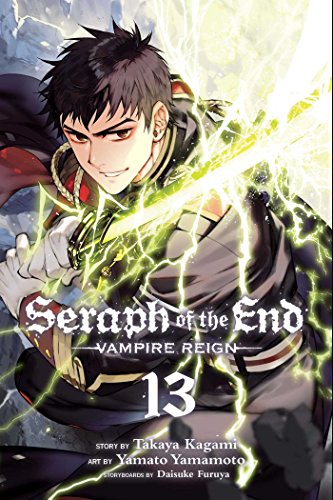 Manga volume 13 cover featuring a determined young man with glowing energy.