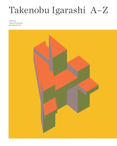 Book cover for “Takenobu Igarashi” with abstract geometric design.