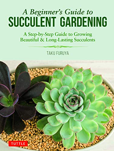 Book cover featuring green and dark purple succulent plants in a pot.