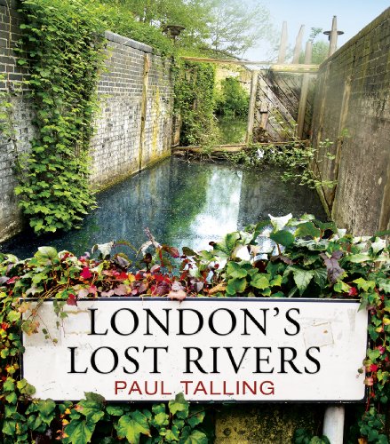 Book cover with city map and river illustrations, likely featuring London's landscape.