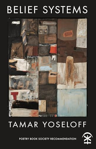 Book cover with abstract, patchwork-style painting and title “Belief Systems”.