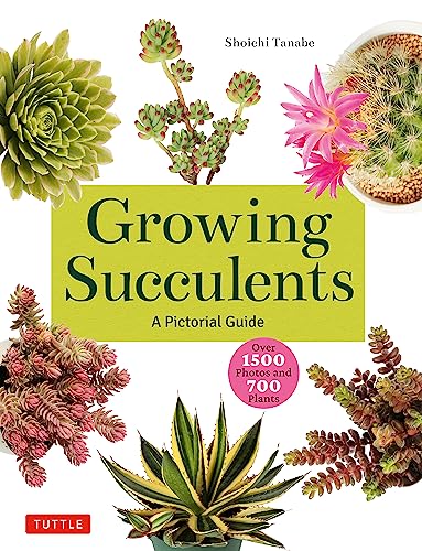Book cover with various succulents and title Growing Succulents A Pictorial Guide.