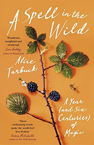 Book cover with a blackberry bramble and bees on a solid orange background.