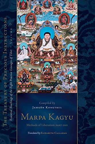 Book cover with colorful Tibetan Buddhist imagery and text.