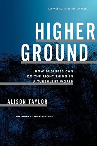 Book cover: "Higher Ground" by Alison Taylor, with white text on a dark blue background.