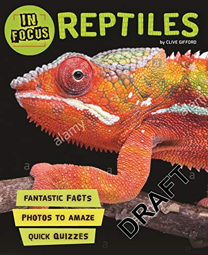 Book cover featuring a close-up of a vibrant orange and yellow chameleon.