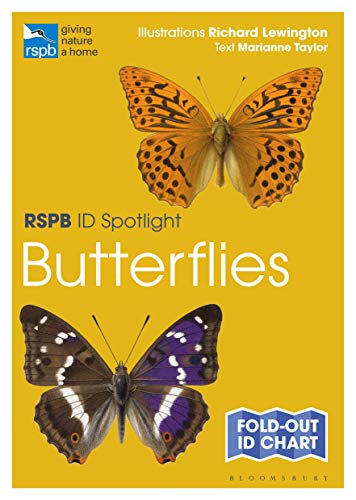 Yellow cover with illustrations of two butterflies, titled “Butterflies”.
