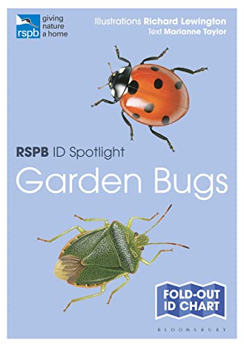 RSPB Garden Bugs ID Spotlight chart featuring a ladybug and shield bug.