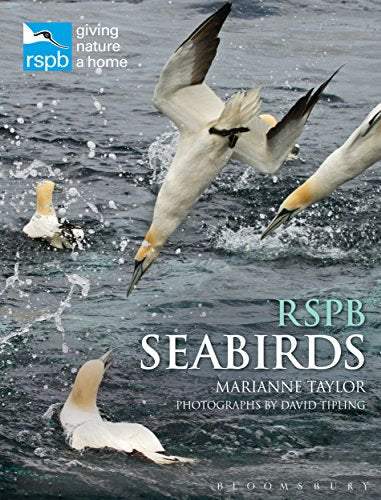 Book cover featuring gannets diving into a choppy, grey sea.