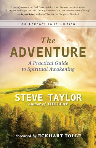 Book cover: "The Adventure" by Steve Taylor, with a landscape background.