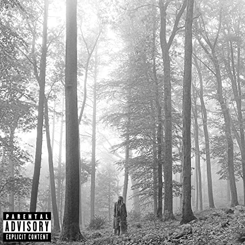 Black and white photo of a person standing in a misty, dense forest.