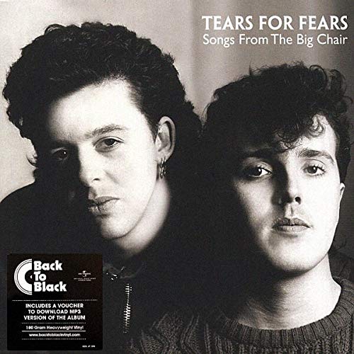 Black and white portrait of two men, album cover for Tears For Fears.