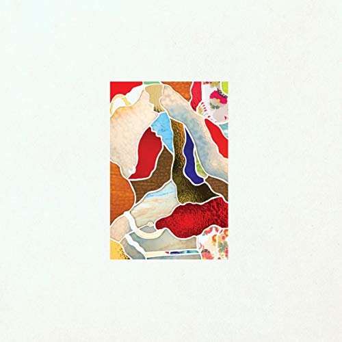 Abstract collage album cover for Teebs’ “Anicca” vinyl record.