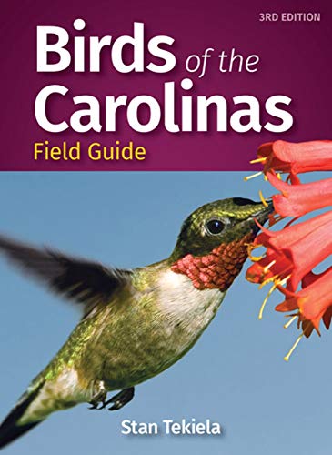 Field guide cover featuring a ruby-throated hummingbird at a red flower.