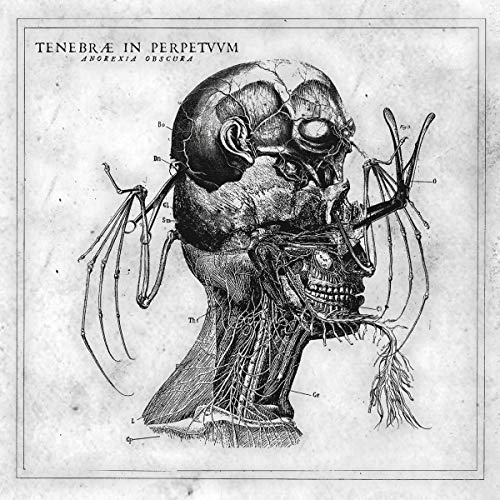 Black and white illustration of a dissected human head with insect wings.