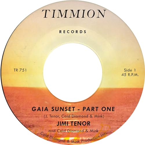 Vinyl record label for Gaia Sunset by Jimi Tenor with a sunset background image.