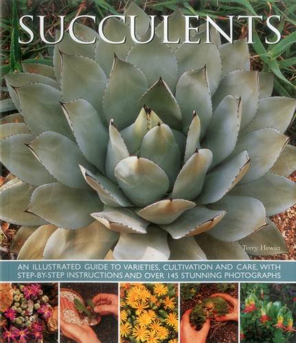 Book cover featuring a close-up of a rosette-shaped succulent plant.