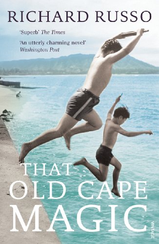 Book cover: two boys jumping from a pier into blue water.
