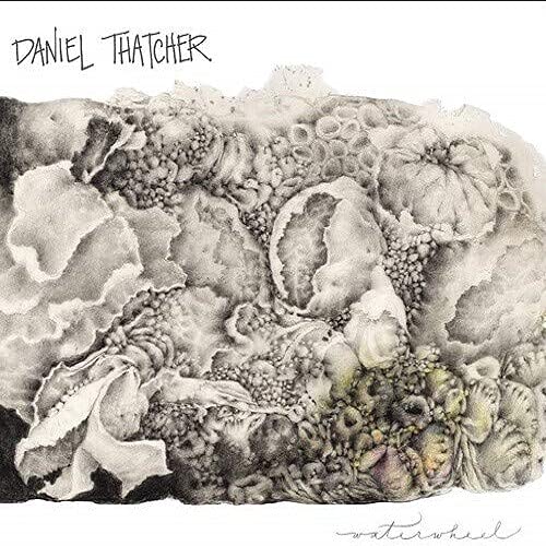 Thatcher,daniel - Waterwheel [CD]