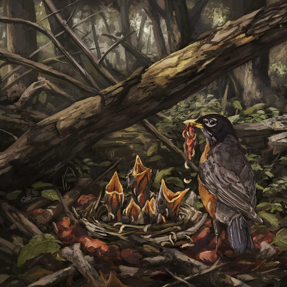 "Album cover art: a bird feeds its chicks in a forest nest."