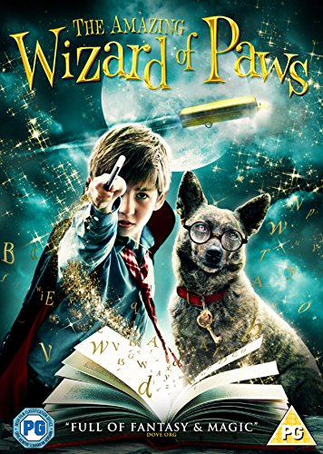 Boy with dog wearing glasses, holding a wand, DVD cover.