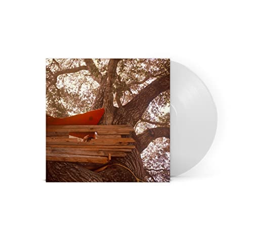 Vinyl record and album cover with a treehouse against a bright sky.