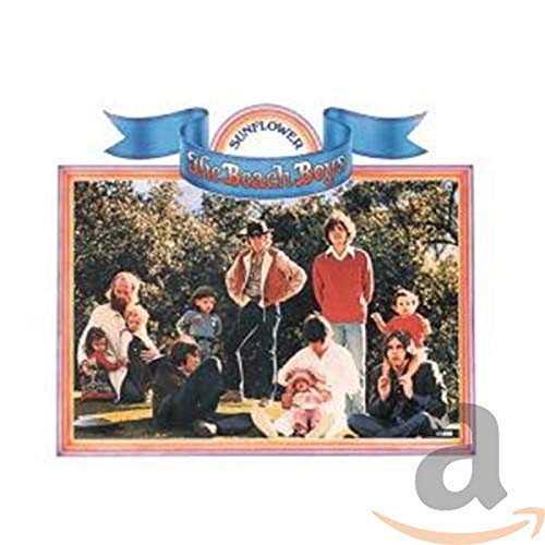 The Beach Boys Sunflower album cover featuring band members and their families in a park.
