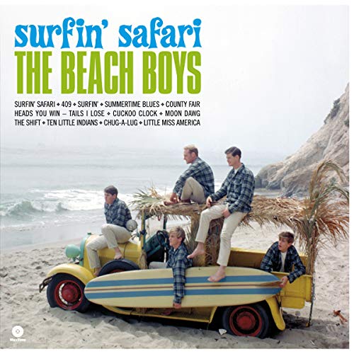 Vinyl record sleeve with Beach Boys artwork and black vinyl disc inside.