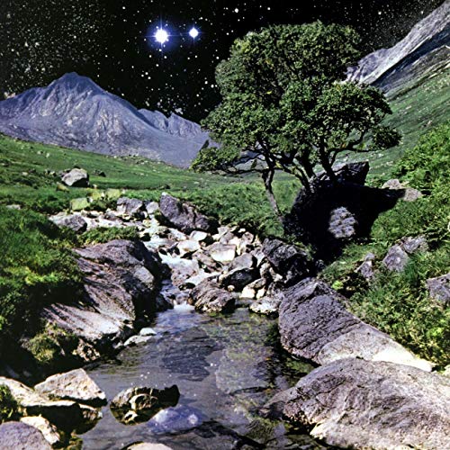 Mountain landscape with a stream, tree, and starry night sky.
