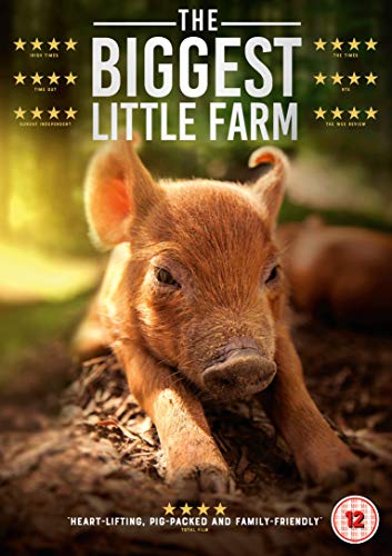 DVD cover for The Biggest Little Farm featuring a brown piglet on dirt.