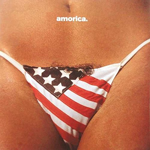 Close-up of a person wearing an American flag bikini bottom with the text amorica.