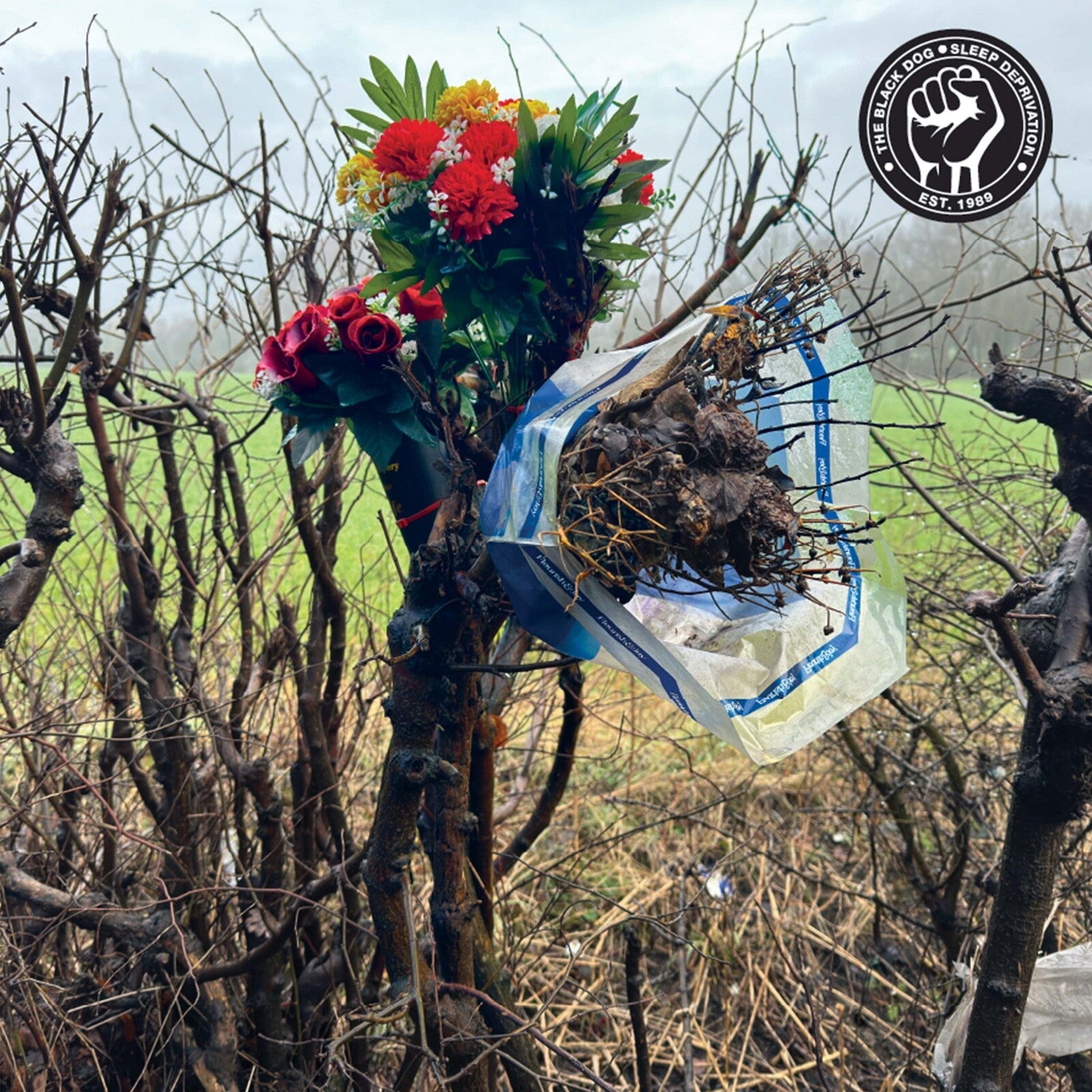Bouquets tied to a weathered tree stump in a rural landscape.