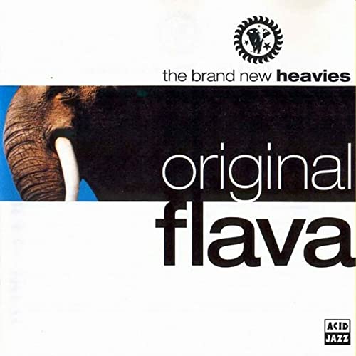 Album cover for The Brand New Heavies’ “Original Flava” featuring an elephant.