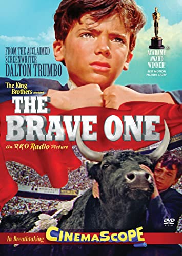 The Brave One [DVD]