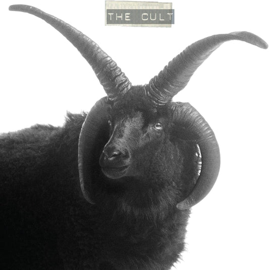 Black and white image of a goat with large curved horns, album cover.