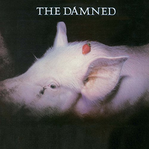 Album cover showing a pig with a strawberry on its head against black background.