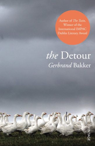 Book cover: "The Detour" by Gerbrand Bakker, featuring geese under a cloudy sky.