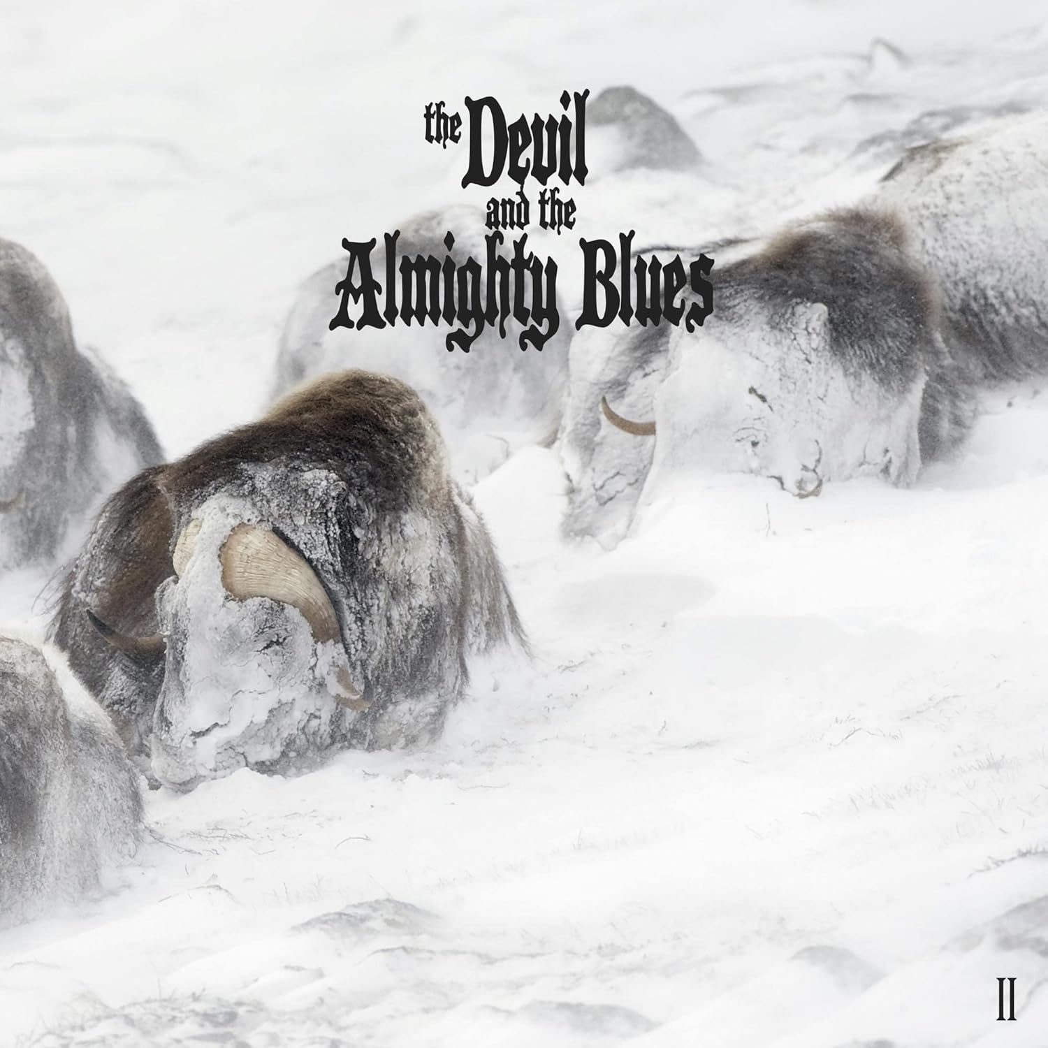 CD album cover featuring a dark, moody illustration with text and band branding.